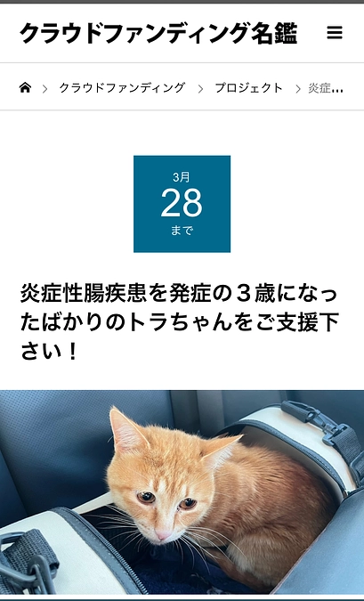 『クラウドファンディング名鑑』でトラちゃ  ん応援プロジェクトが紹介されました🤗
