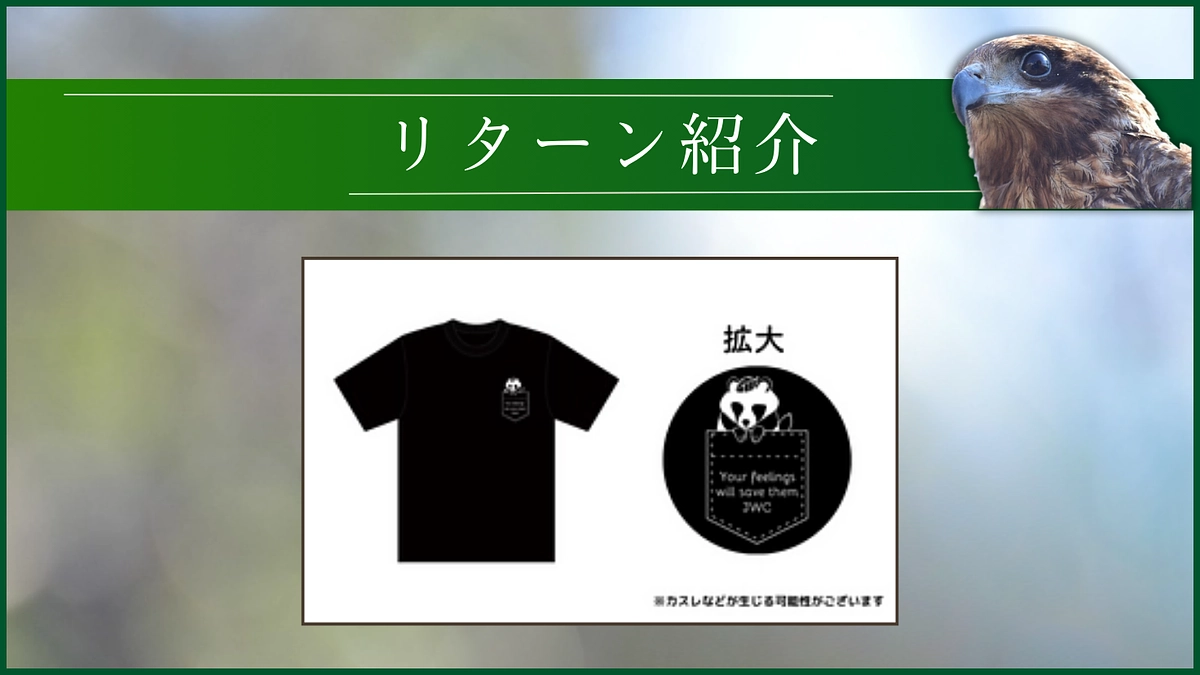 【クラウドファンディング】リターン紹介「クラファン限定デザインTシャツ」