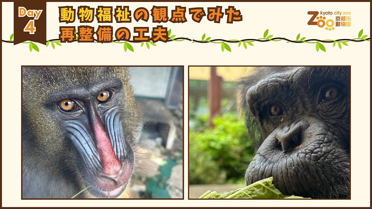 【クラファンWEEK｜Day4】動物福祉の観点でみた再整備の工夫