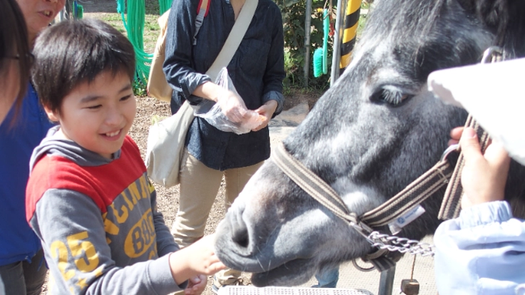 ポニーと子どもがふれあい、笑顔があふれる場所を作りたい!