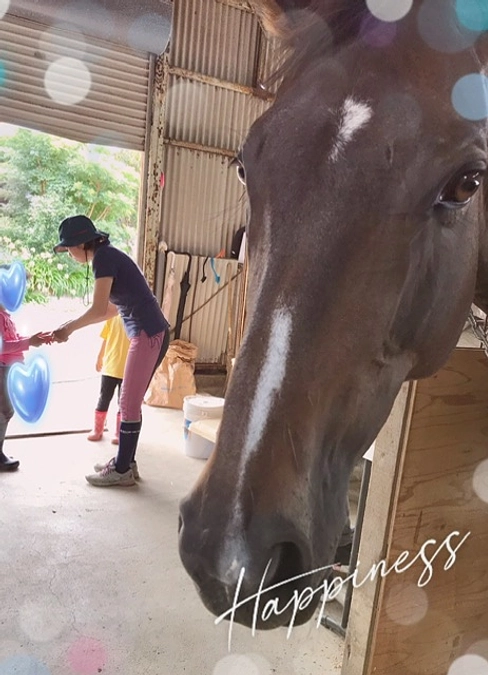 あんらいえんホースを支える方々♥️その①