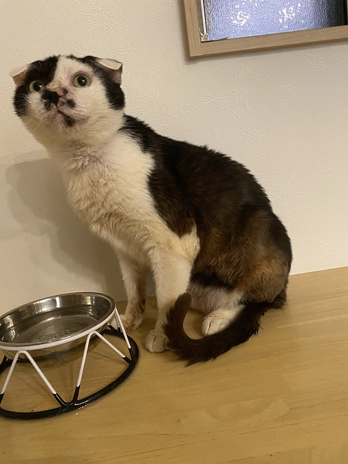 投薬が終了しました！