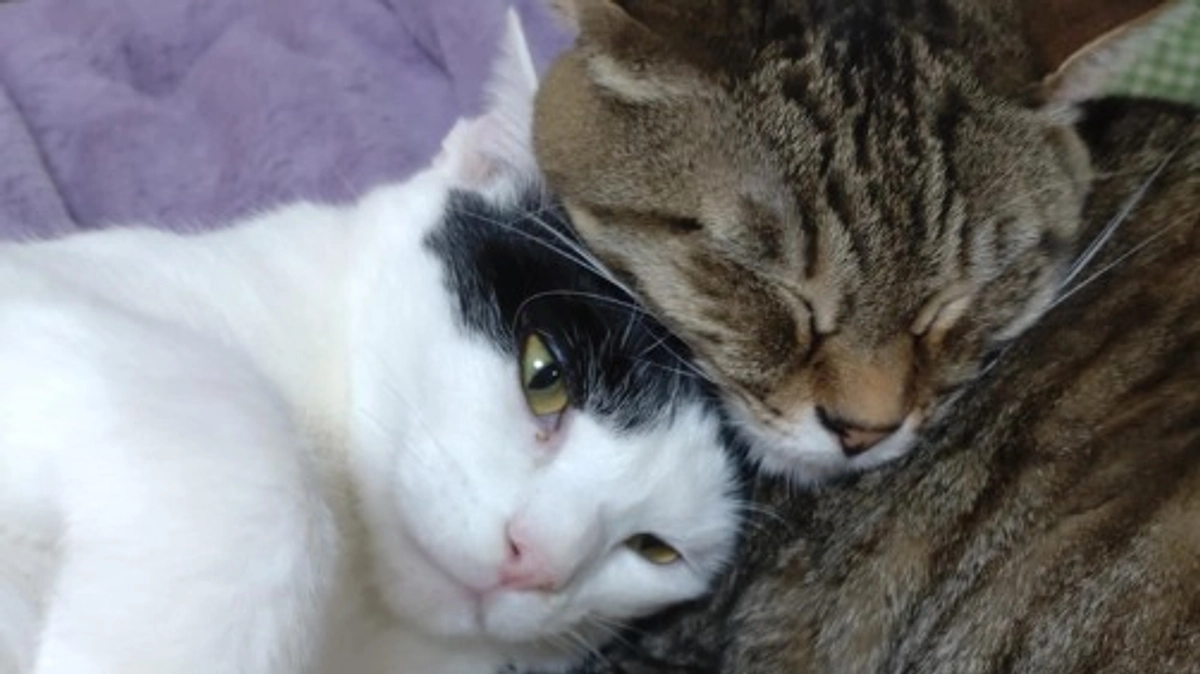 店舗移転のプロジェクトを立ち上げています