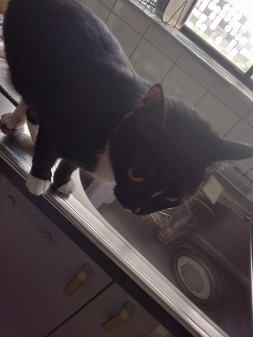 4/12はなちゃんの様子