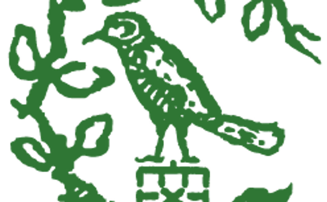 【福井県内外在住の方】全額応援！（5千円）