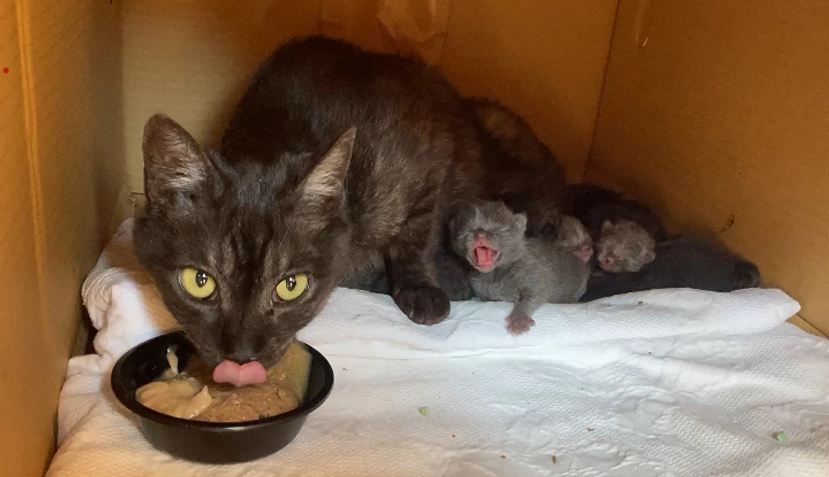 ネクストゴールも達成しました！