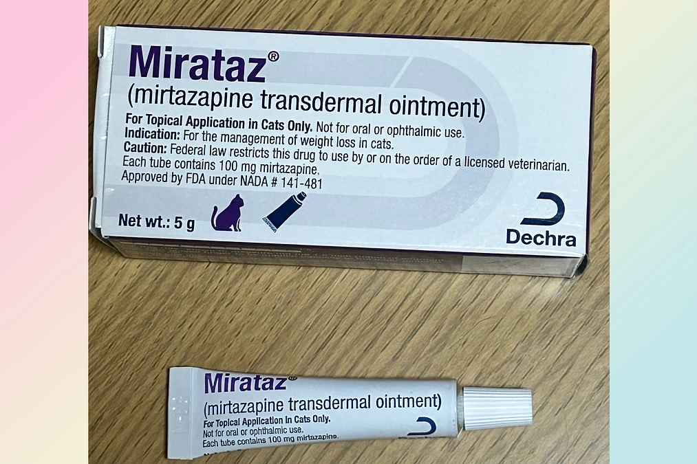 先日処方していただいた塗り薬を使ってみました