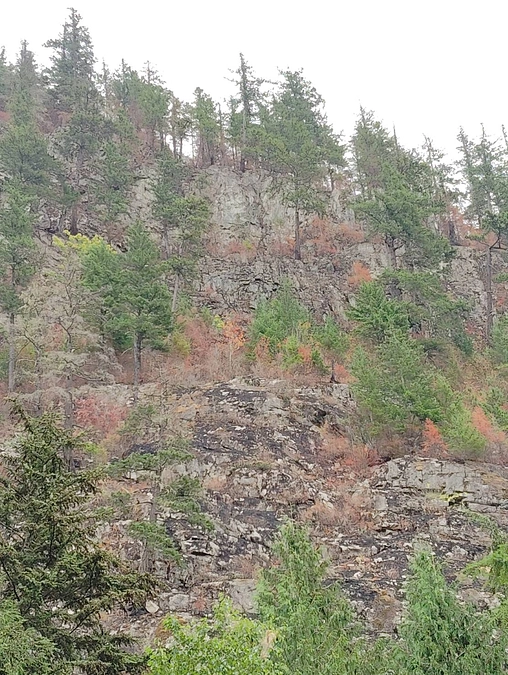 バンクーバー出張⑫