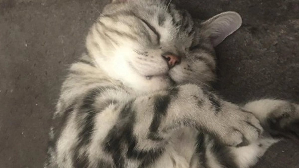 【第一関門まであと223,000円です！】11年目のご連絡を頂きました。