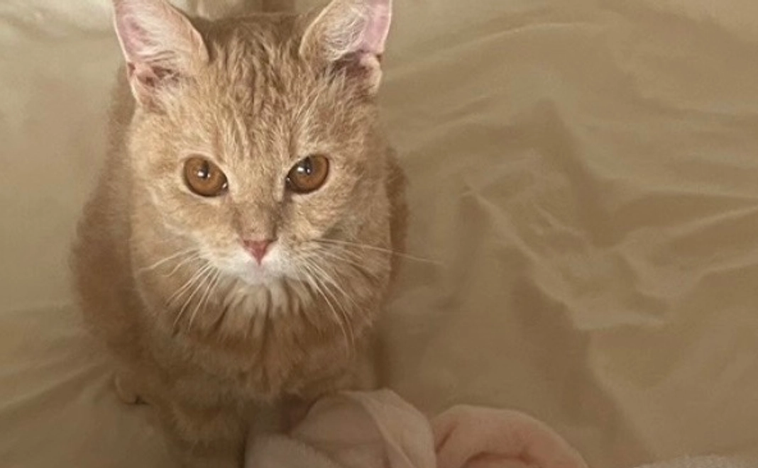 感謝のメール【6】