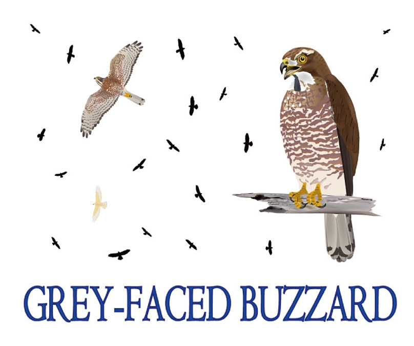 今年のリターンのデザイン紹介