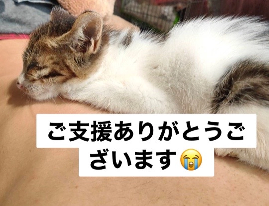 ご支援ありがとうございます！