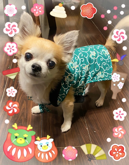 初詣に行ってきました✨