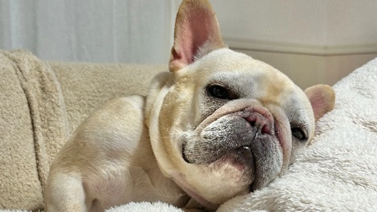 経過報告⑤　戻ってきた五感【終了まであと９日】