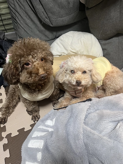 一時預かり君を思い出す？