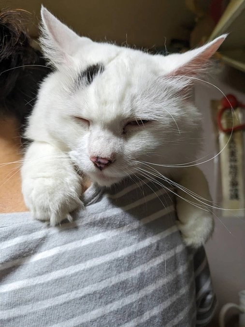 ハート経過観察１７日目