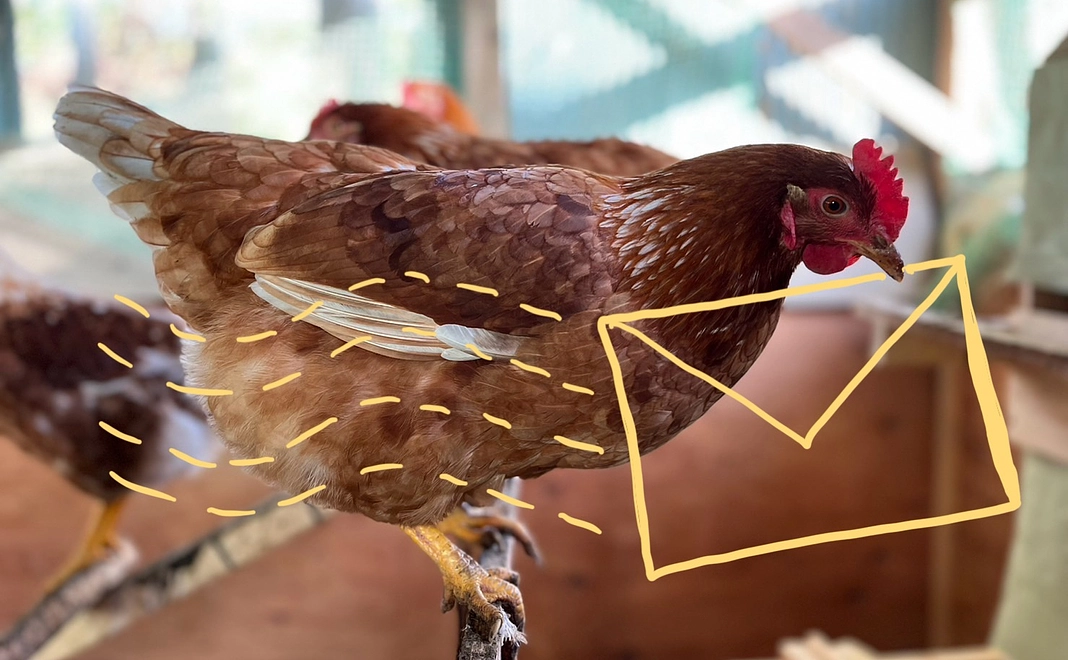 お気持ちコース