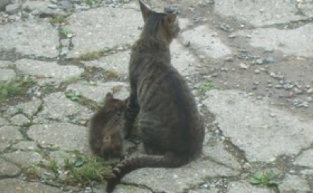 お礼のメール（写真付き）