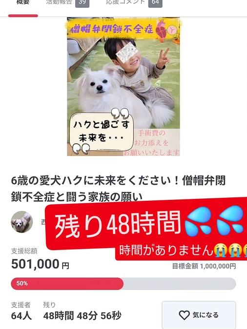 【残り４８時間】達成率５０％