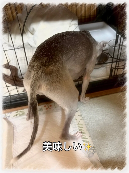 いよいよ2日前です🏥💦