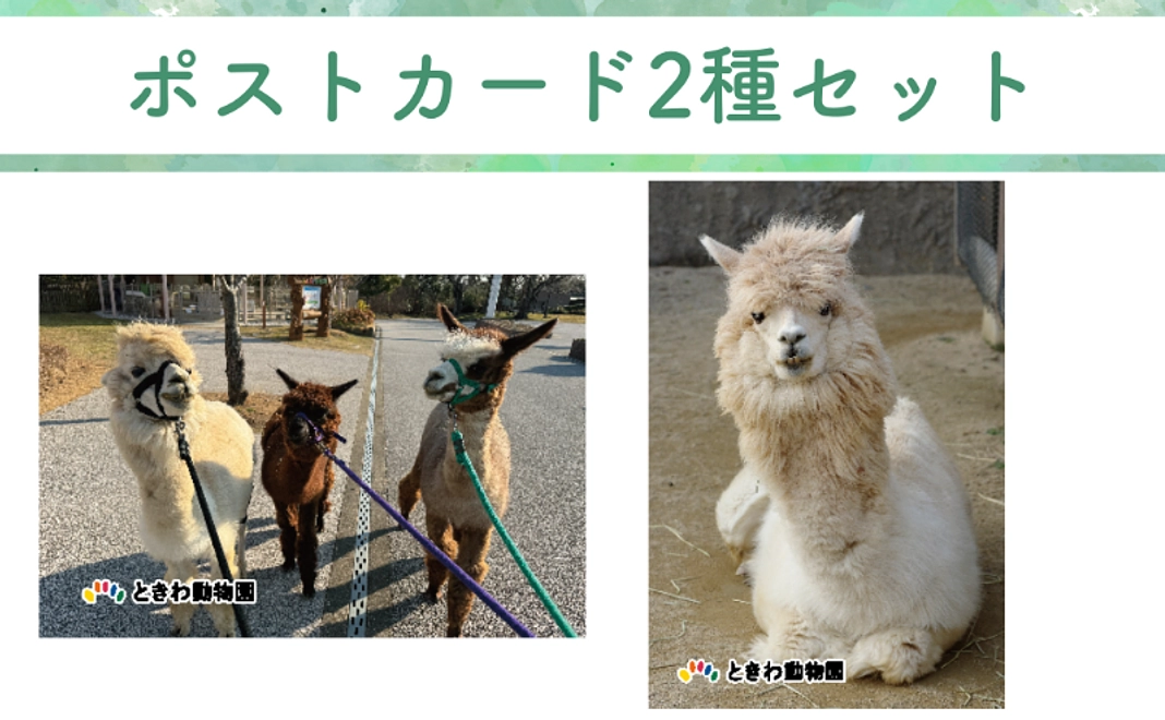 【グッズ】ポストカード2種セット