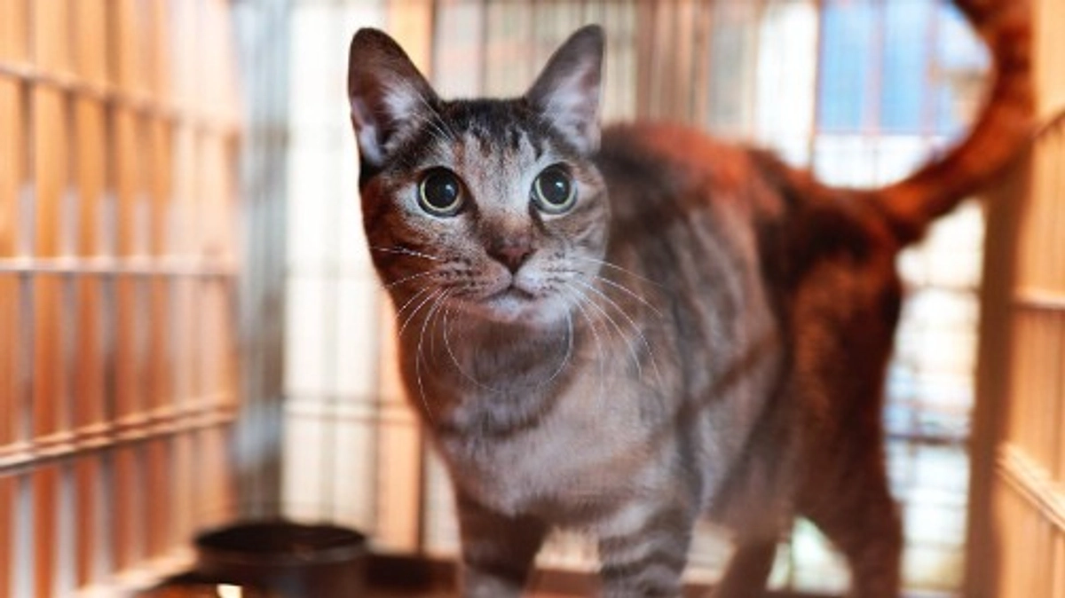 【メッセージリレー#８】ボランティアの匿名希望さんからメッセージをいただきました。