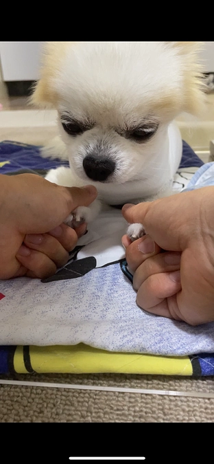 退院後2日目になりました！