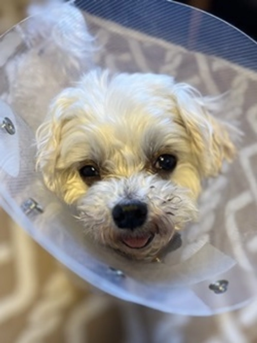 【2024年3月13日（水）のInstagram、ブログより】