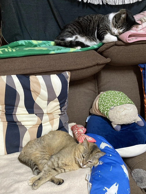 リターン発送状況のご報告、、、