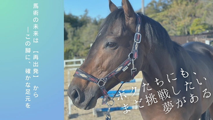 引退競走馬の挑戦！馬術競技を目指す馬たちのために馬場整備をしたい。