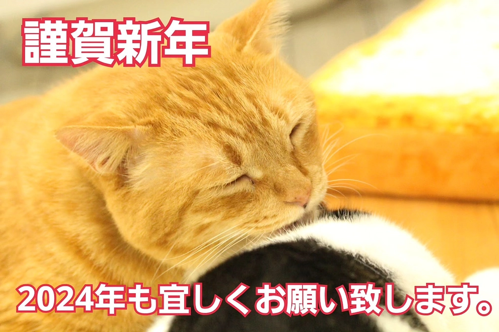 2024年も宜しくお願い致します