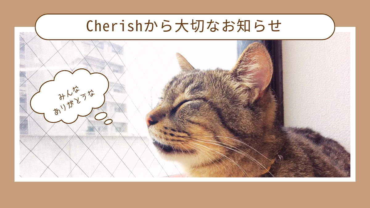 Cherishから大切なお知らせ（バンブー店長について）