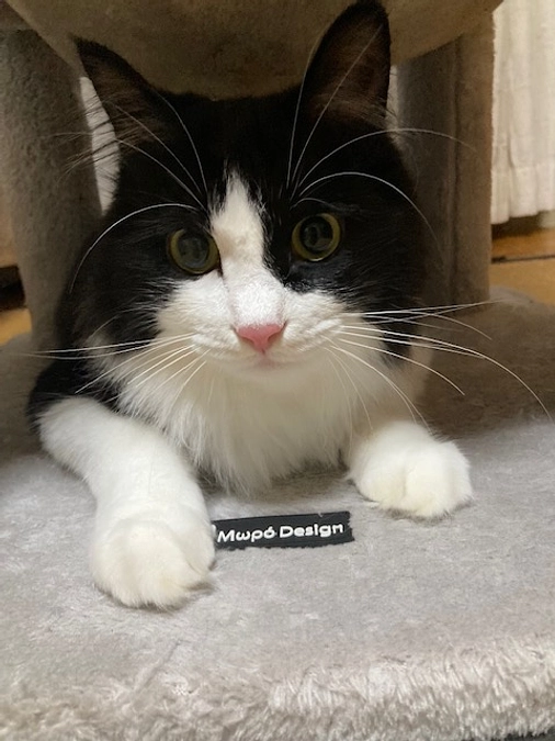 残暑お見舞い申し上げます