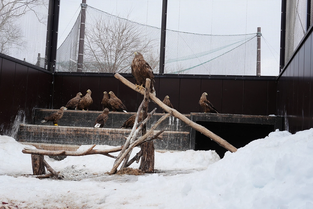 こちらがとまり木の現状。もっと充実させたいと思っています！