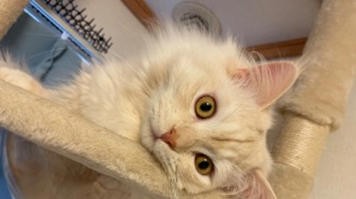 今日のトキ☁️☔️