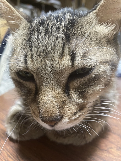 エイズキャリアの子