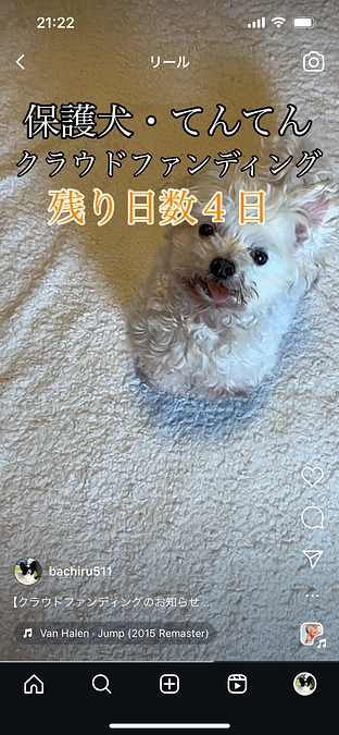 あと4日です！ご協力お願いいたします！