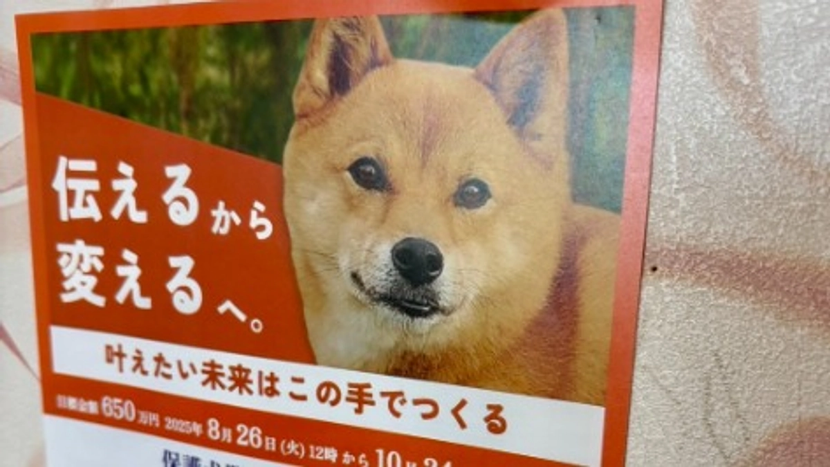 クラファンのチラシの頒布のお願いをしています！