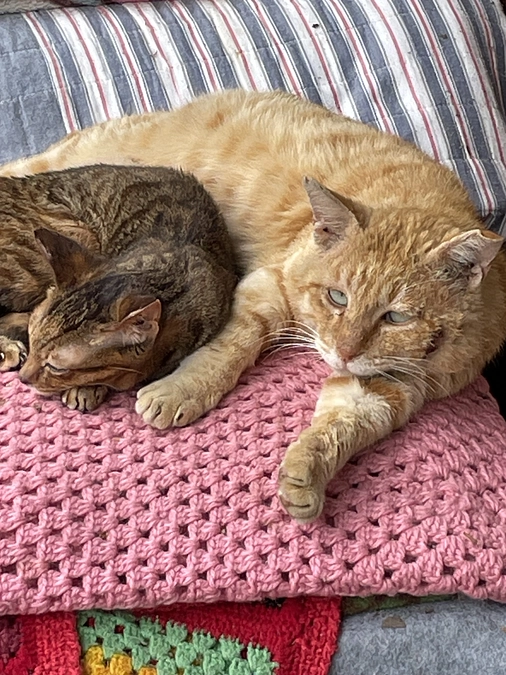 皆さんのご賛同ご支援を力に