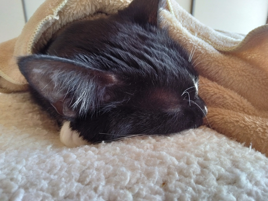 2/25はなちゃんの様子