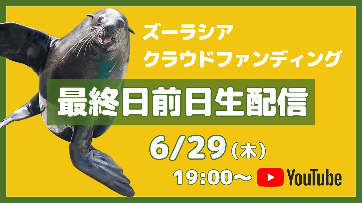 お見逃しなく！【6/29(木)19:00~｜最終日前日ライブ配信のお知らせ】