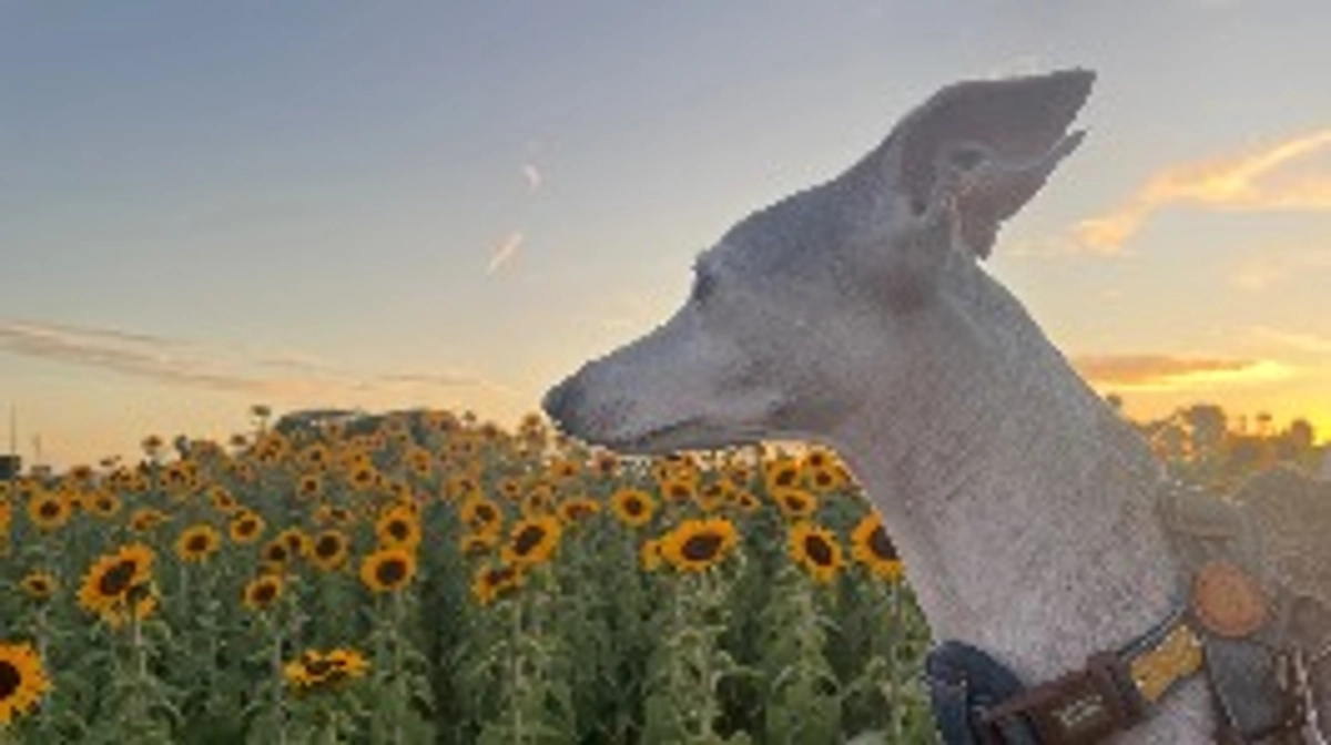 あと1時間⏳💦