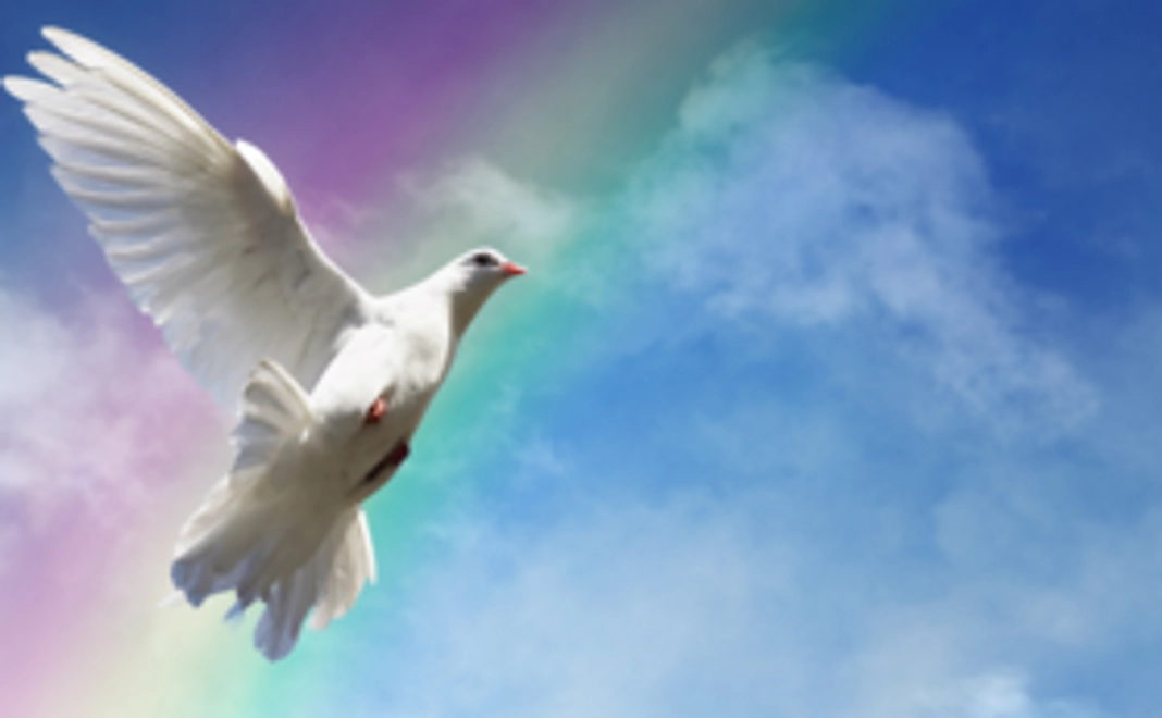 オンラインコミュニティ参加