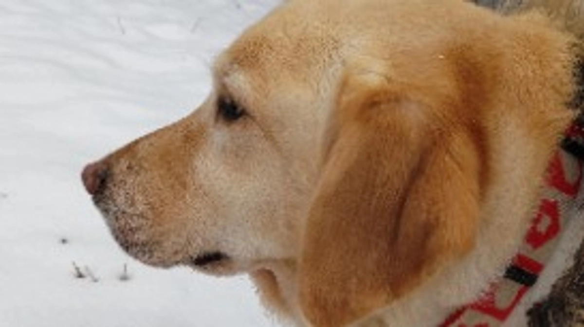 抗がん剤治療4回目