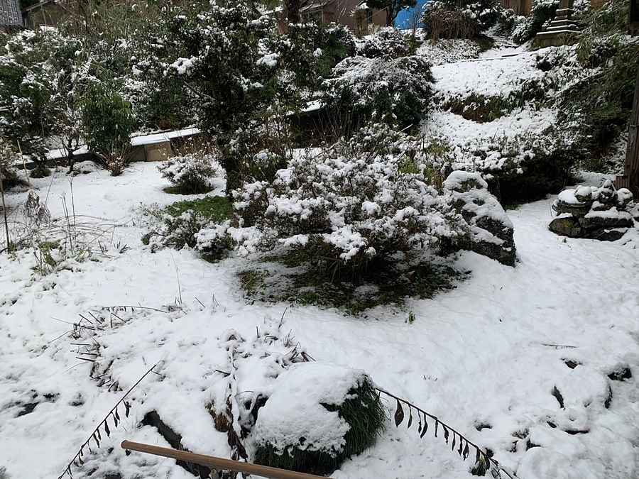 1/6 23時まで クラウドファンディング【残り52時間】2025年も再建に向けてがんばります！