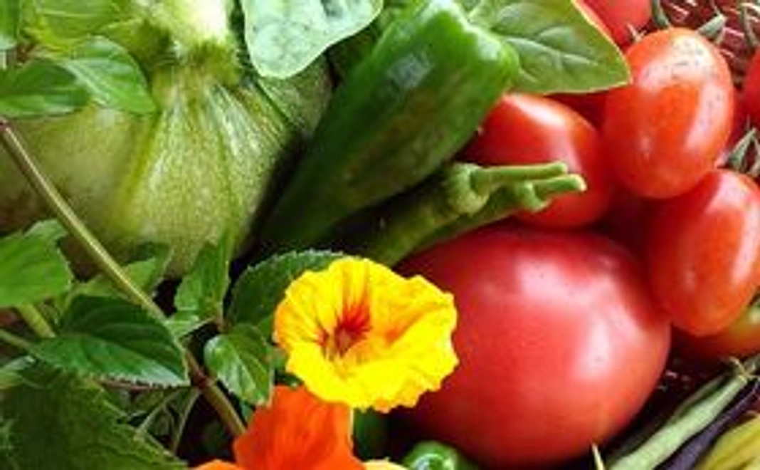 北の国から美味しいもの詰め合わせ！