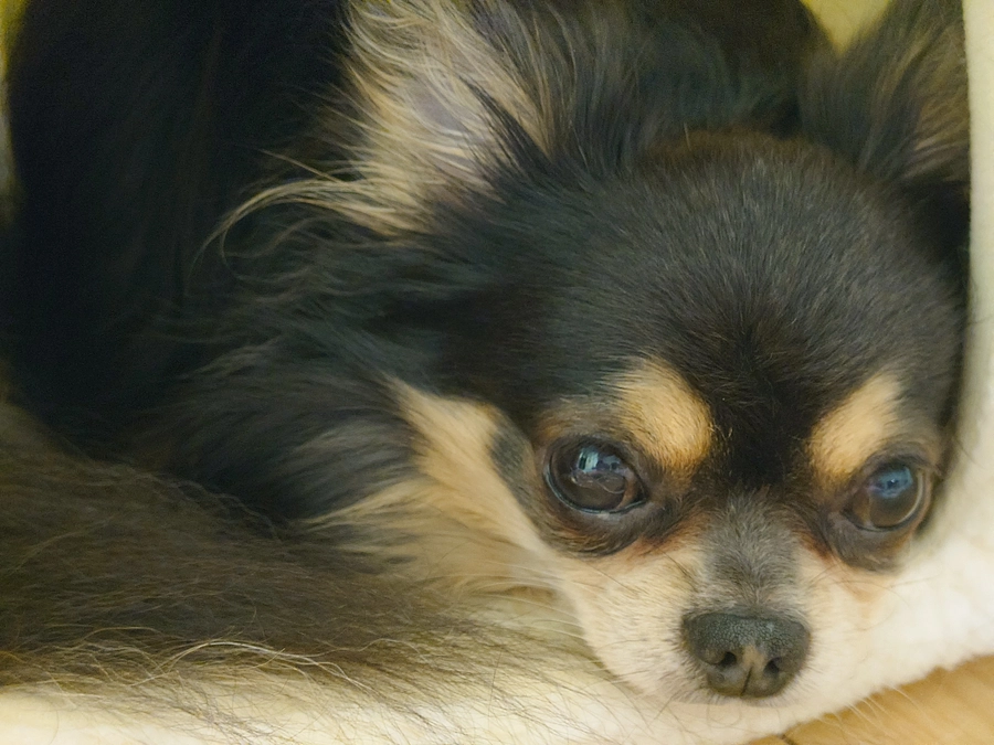 本日、22:30よりインスタライブ開催