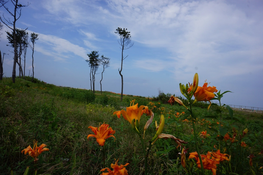 プロジェクト成立の御礼