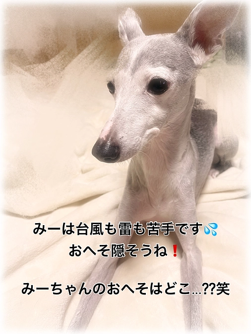 雷は苦手...⚡️⛈️