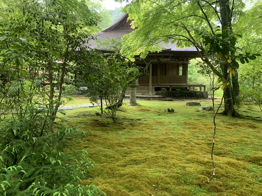 【支援者300名を超えました】心より感謝申し上げます。